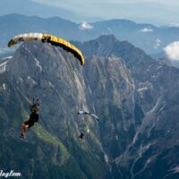 Sharing perspectives Roy Wimmer edit