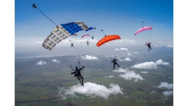 canopies flying at angle in same direction in flocking formation