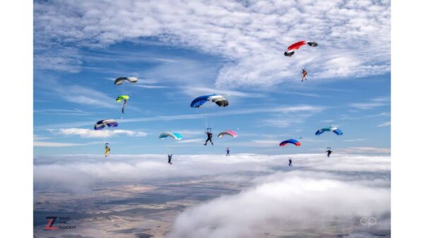 canopies flying in same direction as a flock